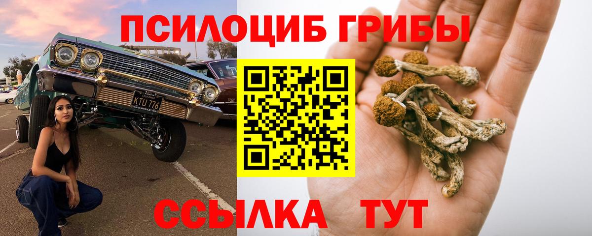 Энгельс  Галлюциногенные грибы MAGIC MUSHROOMS  Вход с VPN 