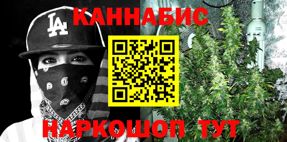 Марихуана план  Каннабис семена  Энгельс  Марихуана конопля  Вход с VPN 